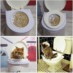 Kit pentru educarea pisicilor la toaleta Citi Kitty, 3 luni+