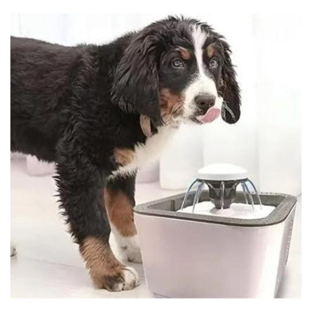 Dispenser automat de apă PetFountain pentru animale