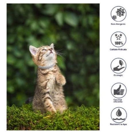 Zgardă antiparazitară pe bază de uleiuri din plante, pentru purici și căpușe – imagine 3