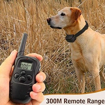 Set Zgarda electrica pentru dresaj canin, raza 300m, ajustabila, rezistenta la ploaie si praf - Pet Training Collar LCD Display