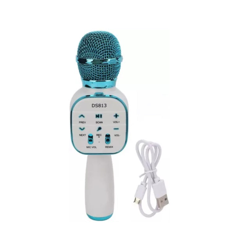 Microfon Wireless fara fir, acumulator incorporat, boxa inclusa, sistem karaoke, FM radio, TF card, USB, inregistrare muzica